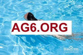 英超第25轮狼队vs切尔西全场比赛录像回放2026年2月8日